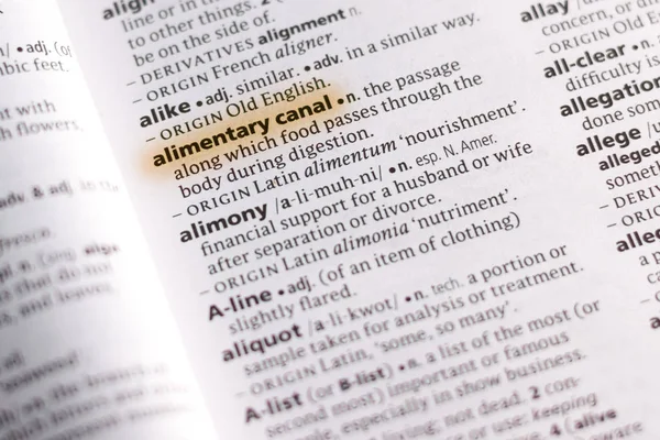 Word Phrase Alimentary Canal Dictionary Highlighted Marker — Stock Photo, Image