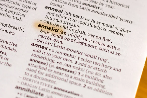 用标记突出显示的词典中的单词或短语 Annelid — 图库照片