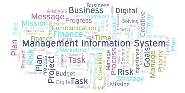 Management Information System word cloud, made with text only