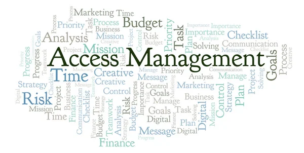 Access Management word cloud, made with text only