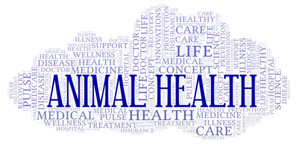 动物健康字云 仅使用文本制作的文字云 — 图库照片