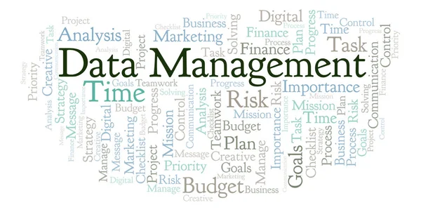 Datenmanagement Word Cloud Nur Mit Text — Stockfoto