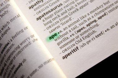 Maymun sözcüğü veya tümceciği bir sözlük