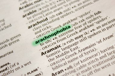 Arachnophobia sözcüğü veya tümceciği bir sözlük