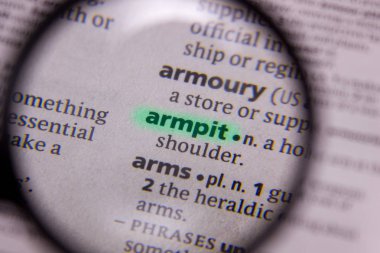 Koltukaltı sözcüğü veya tümceciği bir sözlük