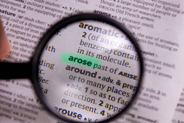 Arose word or phrase in a dictionary