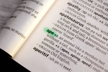 Maymun sözcüğü veya tümceciği bir sözlük