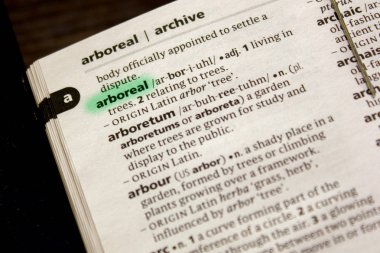 Ağaç sözcüğü veya tümceciği bir sözlük