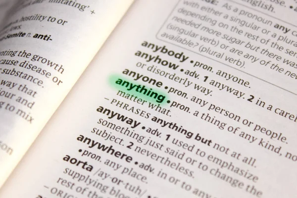 Anything Word Phrase Dictionary — Stock Photo, Image