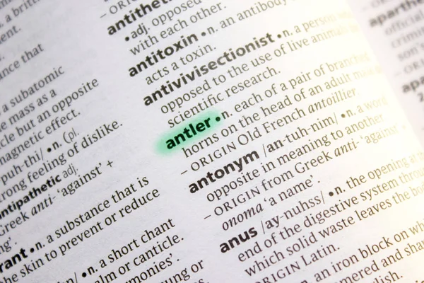 词典中的 Antler 词或短语 — 图库照片