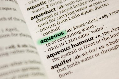 Sulu sözcüğü veya tümceciği bir sözlük