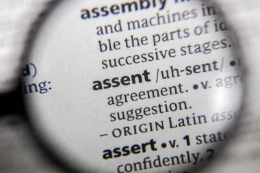 Sözlük kitabındaki sözcük ya da cümle onayı.