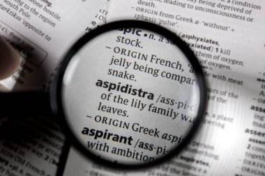 Sözcük veya tümcecik aspidistra sözlüğü kitaptaki.