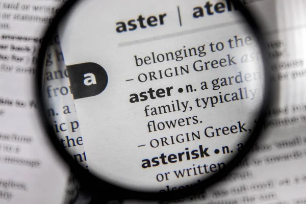 Word Phrase Aster Dictionary Book — Stock Photo, Image