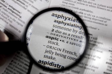 Sözlüğe sözcük veya tümcecik Etli jöle.