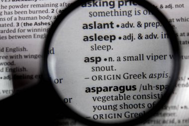 Sözlüğe sözcük veya tümcecik asp.