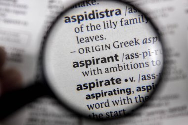 Bir sözlüğü kitaptaki sözcük veya tümcecik aday.