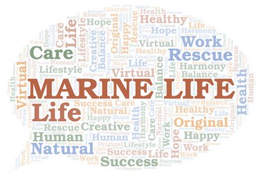 Deniz hayat kelime bulutu.