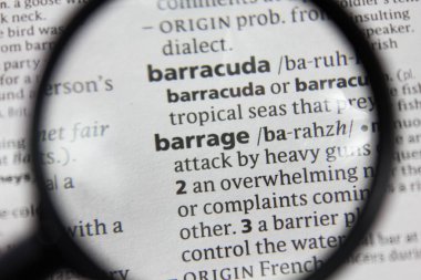 Sözlükteki sözcük veya tümcecik yaylım ateşi.