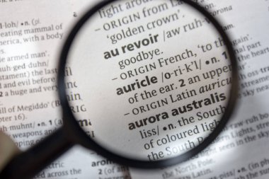 Sözlükte kullanılan sözcük.