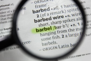 Sözlükteki sözcük veya tümcecik barbel.