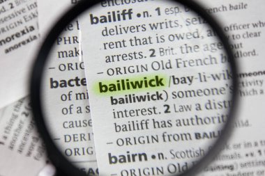 Sözlükte bailiwick sözcüğü veya deyimi.