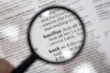 Sözlükte bacillus sözcüğü.