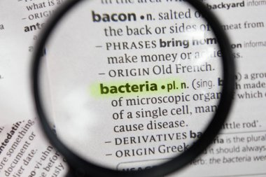 Sözlükteki sözcük veya tümcecik bakterileri.