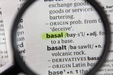 Sözlükteki sözcük veya tümcecik bazal.