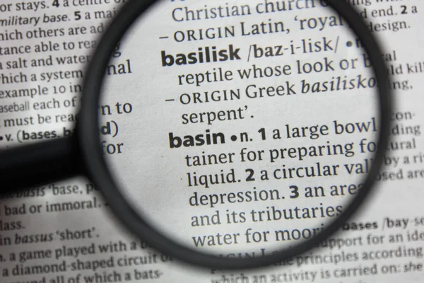 Word Phrase Basin Dictionary — Stock Photo, Image