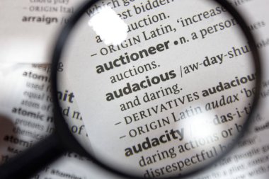 Sözlükte cüretkar ifade kelimesi.