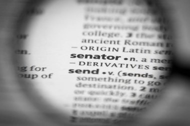 Sözlükteki kelime ya da cümle senatörü.