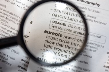 İfade kelimesi - aureole - sözlükte.