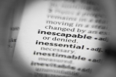 Sözlükte kaçılamaz sözcük ya da cümle.