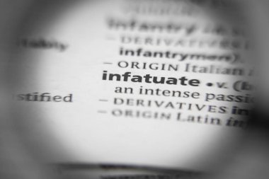 Bir sözlükte sözlük ya da cümle delicesine aşık olmak.