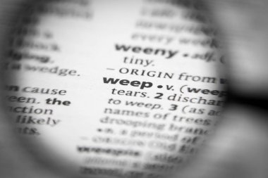 Sözlükte ağlayan sözcük ya da cümle.