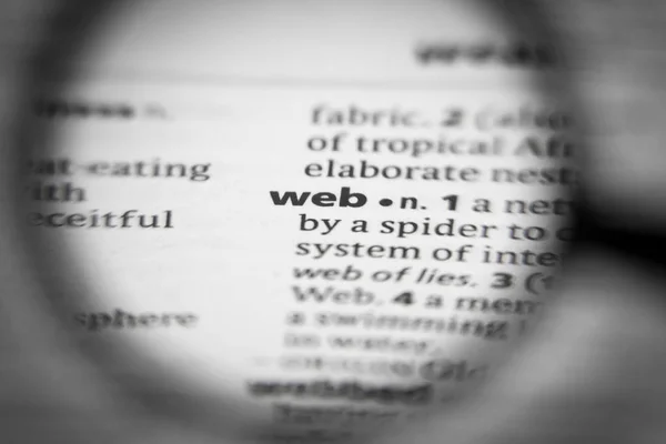 Ord eller fras webb i en ordbok. — Stockfoto