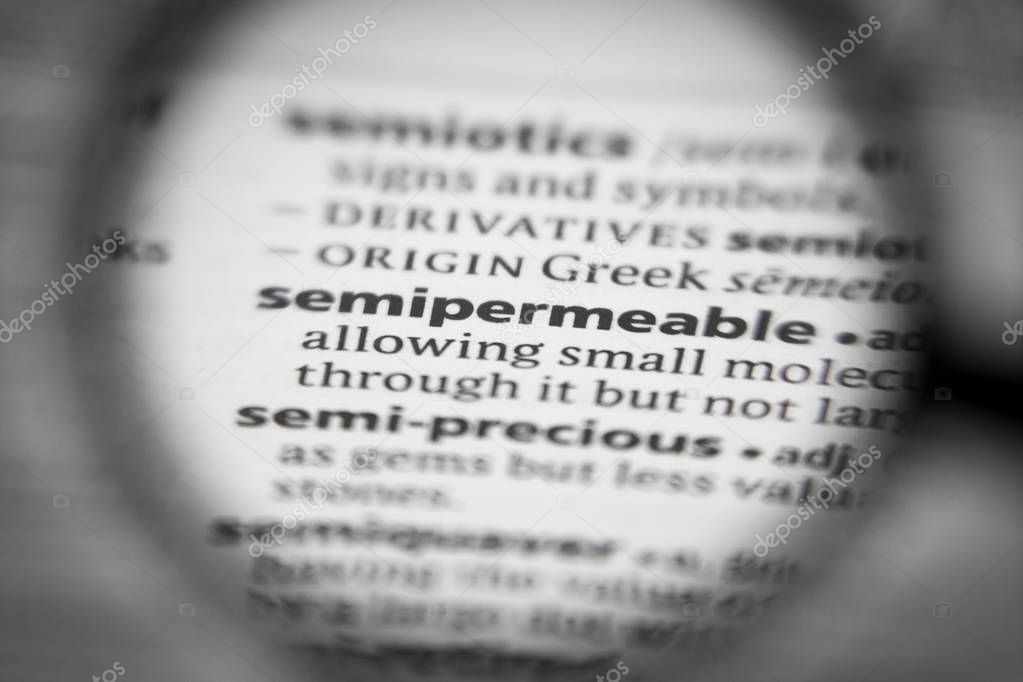 Word or phrase semipermeable in a dictionary. Great photo for your needs.