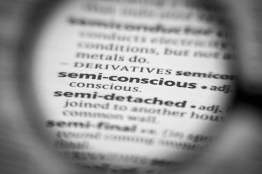 Sözlükte yarı bilinçli sözcük ya da cümle.