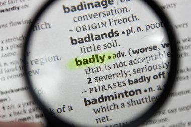 Sözlükte kel olan sözcük veya tümcecik.