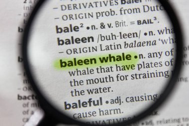 Sözlükte kelime veya ifade balya balina.