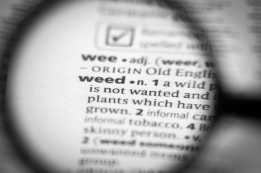 Sözlükte kelime ya da cümle otu.