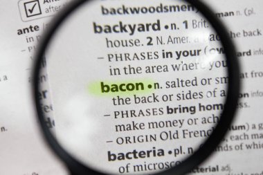 Sözlükteki sözcük veya tümcecik pastırması.