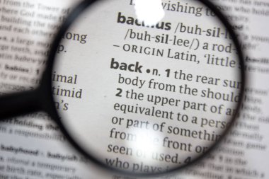 Sözlükte ifade sözcüğü.