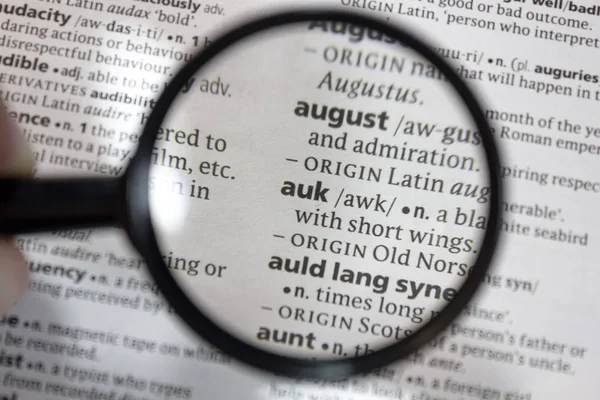 The word of phrase - auk - in a dictionary. — Stock Photo, Image