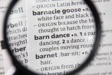 Sözlükte kelime veya deyim ahır dansı.