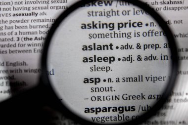 Sözlük kitabında uyuyan sözcük veya tümcecik.