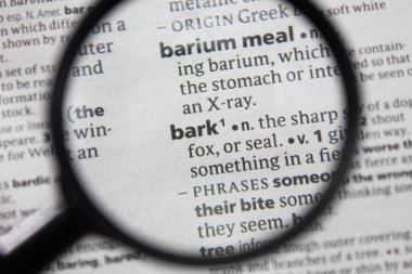 Sözlükteki sözcük veya tümcecik kabuğu.