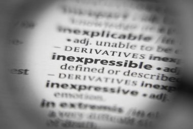 Sözlükte tanımlanamayan sözcük ya da cümle. İhtiyaçların için harika bir fotoğraf..