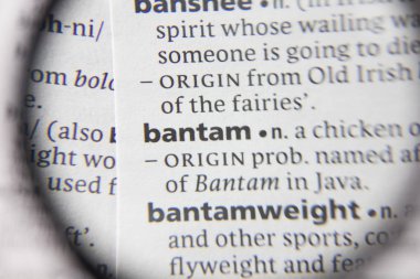 Sözlükte kelime veya ifade bantam.